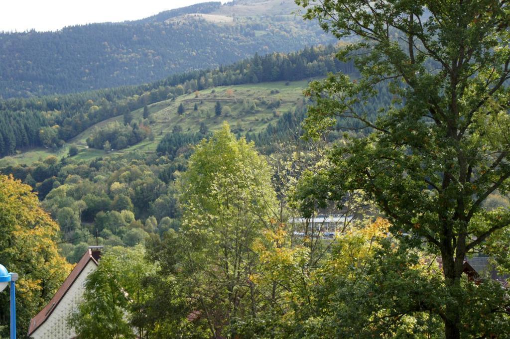 Hotel Restaurant Perle Des Vosges Muhlbach-sur-Munster エクステリア 写真